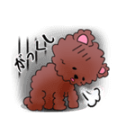 クマのクマカ（個別スタンプ：15）