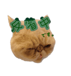 エキゾチック デロちゃん 2（個別スタンプ：16）