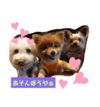 川本さんちの愛犬（個別スタンプ：6）