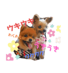 川本さんちの愛犬（個別スタンプ：18）