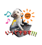 川本さんちの愛犬（個別スタンプ：23）