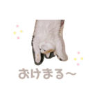 てらちゃんすたんぷ♡ぱーと1（個別スタンプ：2）