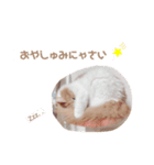 てらちゃんすたんぷ♡ぱーと1（個別スタンプ：5）