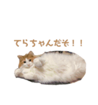 てらちゃんすたんぷ♡ぱーと1（個別スタンプ：6）