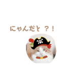 てらちゃんすたんぷ♡ぱーと1（個別スタンプ：7）