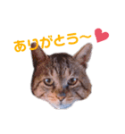 こいなか 円(まる)くん（個別スタンプ：5）