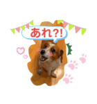日常じゃいたん（個別スタンプ：6）