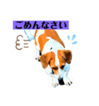 日常じゃいたん（個別スタンプ：8）