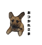ミックス犬ピース1（個別スタンプ：2）