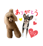 マティラとノアールの羊毛フェルトスタンプ（個別スタンプ：3）