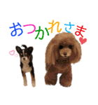 マティラとノアールの羊毛フェルトスタンプ（個別スタンプ：6）