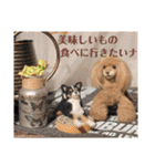 マティラとノアールの羊毛フェルトスタンプ（個別スタンプ：16）