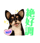 マティラとノアールの羊毛フェルトスタンプ（個別スタンプ：22）