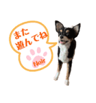 マティラとノアールの羊毛フェルトスタンプ（個別スタンプ：32）