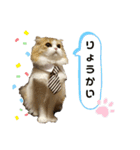 おおたさんちのモグラくん（個別スタンプ：4）
