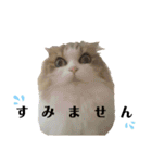 おおたさんちのモグラくん（個別スタンプ：9）