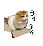 おおたさんちのモグラくん（個別スタンプ：11）
