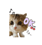 おおたさんちのモグラくん（個別スタンプ：12）