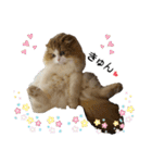 おおたさんちのモグラくん（個別スタンプ：26）
