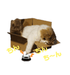 おおたさんちのモグラくん（個別スタンプ：31）