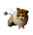 おおたさんちのモグラくん（個別スタンプ：32）