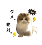 おおたさんちのモグラくん（個別スタンプ：34）