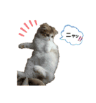 おおたさんちのモグラくん（個別スタンプ：35）