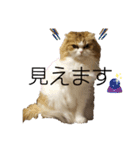 おおたさんちのモグラくん（個別スタンプ：37）