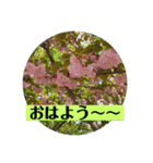 ばっちり返信スタンプ❣️（個別スタンプ：12）