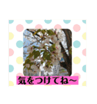 ばっちり返信スタンプ❣️（個別スタンプ：22）