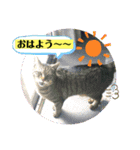 ばっちり返信スタンプ❣️（個別スタンプ：23）