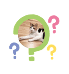 さくまろ（個別スタンプ：2）