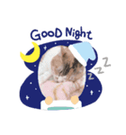 さくまろ（個別スタンプ：8）