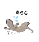 私のレオパ（個別スタンプ：13）