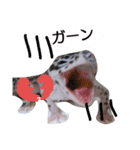 私のレオパ（個別スタンプ：14）