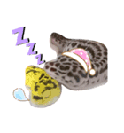 私のレオパ（個別スタンプ：16）
