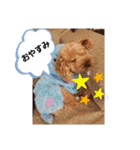 といぷーどるセロ吉（個別スタンプ：2）