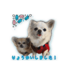 ブリュッセルグリフォン犬のハナ＆フレンズ（個別スタンプ：24）
