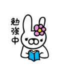 はなうさ1（個別スタンプ：37）
