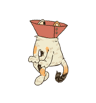 三毛猫円円（個別スタンプ：6）