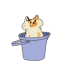 三毛猫円円（個別スタンプ：21）