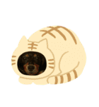 ダックスイスイ（個別スタンプ：14）