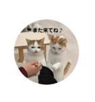 モフアニマルカフェのジバちゃんのスタンプ（個別スタンプ：16）