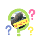 mame♡マイペースなそらまめスタンプ②（個別スタンプ：10）