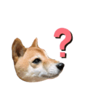 リクちゃんですよ（個別スタンプ：4）