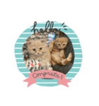 チャチャ＆ミミ（個別スタンプ：2）
