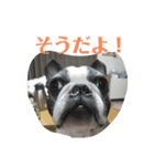 B.B. ＆Maybin（個別スタンプ：4）