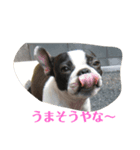 B.B. ＆Maybin（個別スタンプ：6）