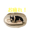 B.B. ＆Maybin（個別スタンプ：7）