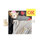 犬のライト（個別スタンプ：1）